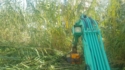 Pulizia canale