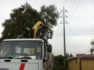 Lavori Stradali potature piante ad alto fusto ditta tranquilli 