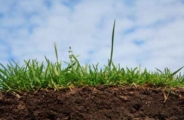 Servizi Agricoli e di Giardinaggio 